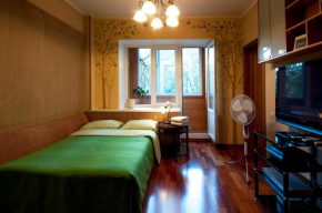 Your home near Moscow-city Moscow